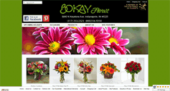 Desktop Screenshot of bokayindy.com